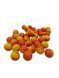 Бойлы Вареные Кукуруза - Тигровый орех (Corn Tiger Nut) 24 мм 900 г Carp Drive