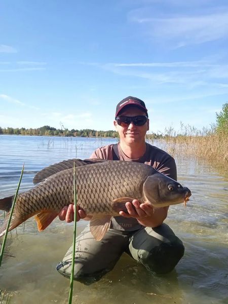 Набір флет міксів, Методний пелетс, флет метод мікс Carp Drive 5 в 1  фото