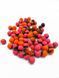 Насадка Balance Т2 "Krill - Mulberry Florentino" 10мм Carp Drive T2KMF10 фото 2